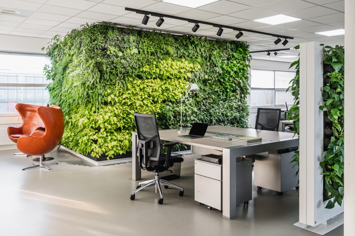 Mobilane HQ LivePanel Office 01