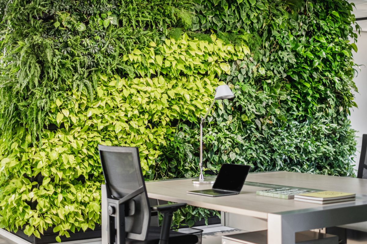 Mobilane HQ LivePanel Office 03