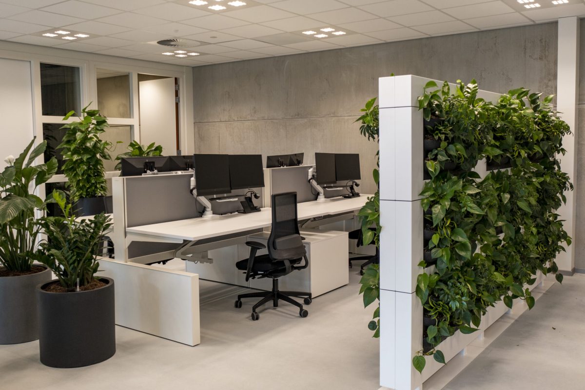 Mobilane LiveDivider PLUS Brilliant Group (25)